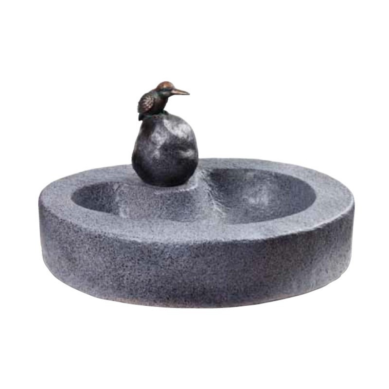 Bain d'oiseau avec martin pêcheur Bain d'oiseau avec martin pêcheur